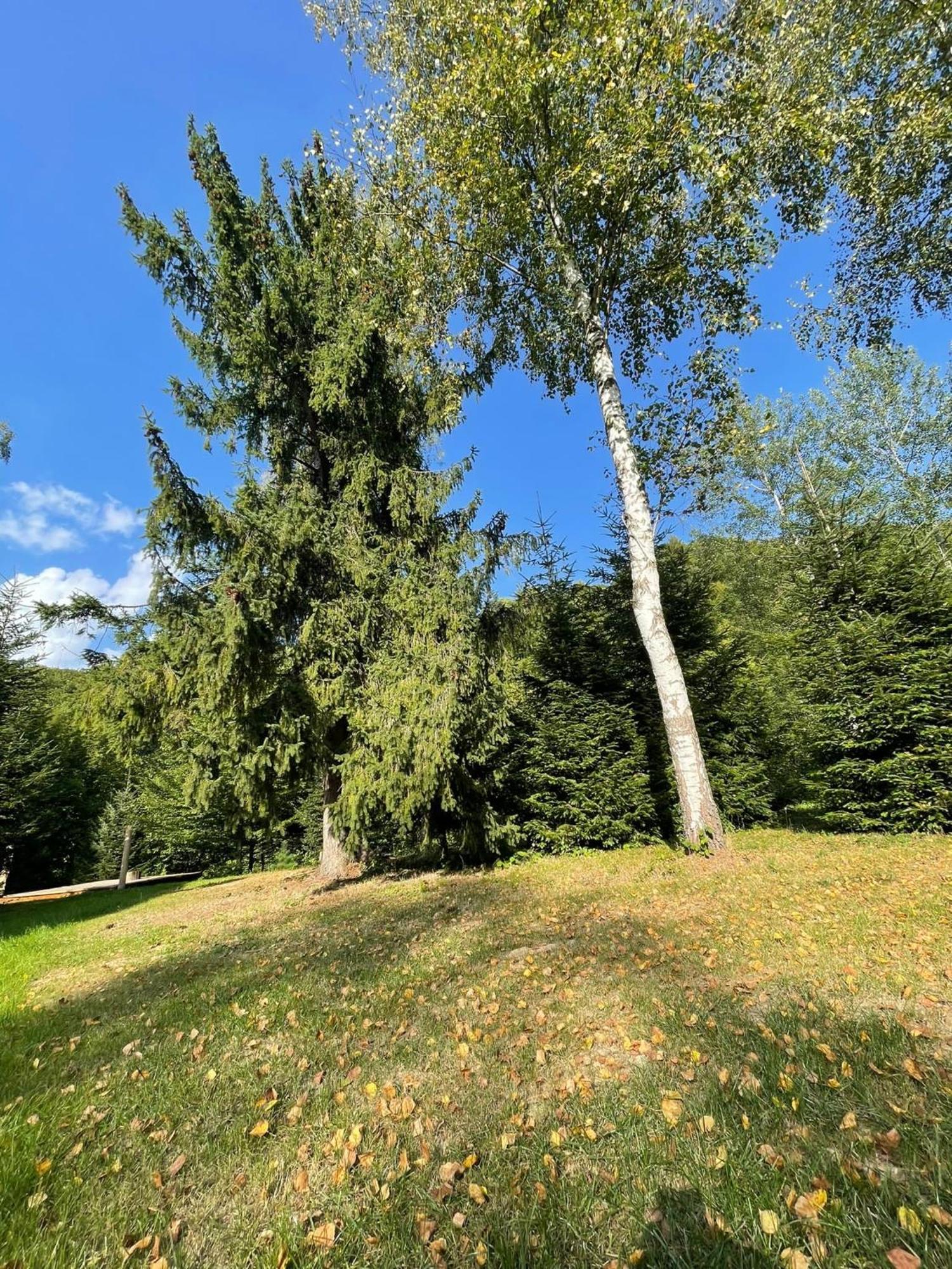 Holiday home Strefa Ciszy Bieszczady