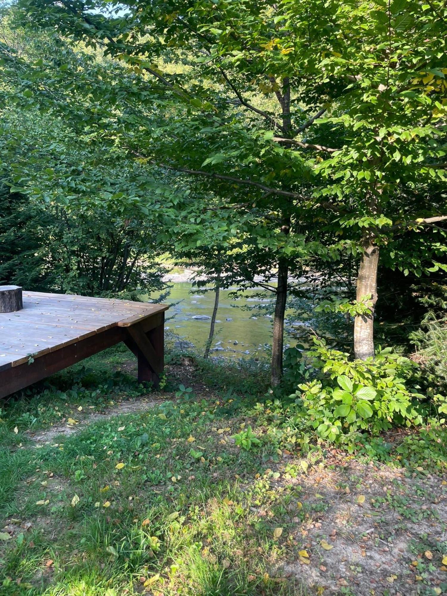 Strefa Ciszy Bieszczady Terka